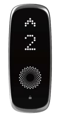 MAGO10-ZX-GGM-01 with Induction button